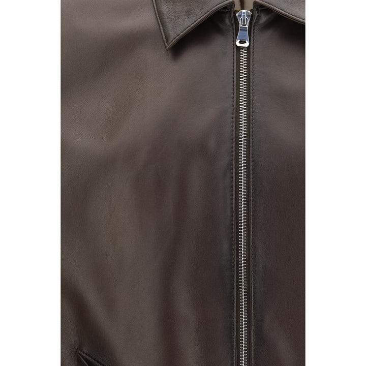 Brown Lamb Ovis Aries Aries Bomber