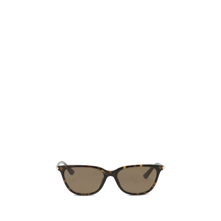 Brown Acetate Sunglasses